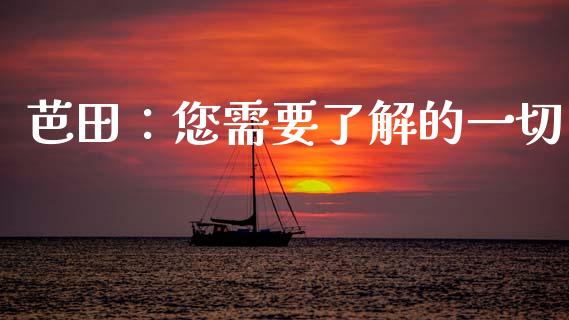 芭田：您需要了解的一切_https://www.apanben.com_国际财经_第1张