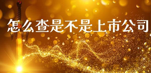 怎么查是不是上市公司_https://www.apanben.com_股票怎么玩_第1张