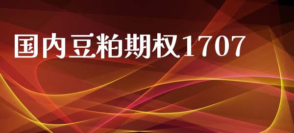 国内豆粕期权1707_https://www.apanben.com_国际期货_第1张