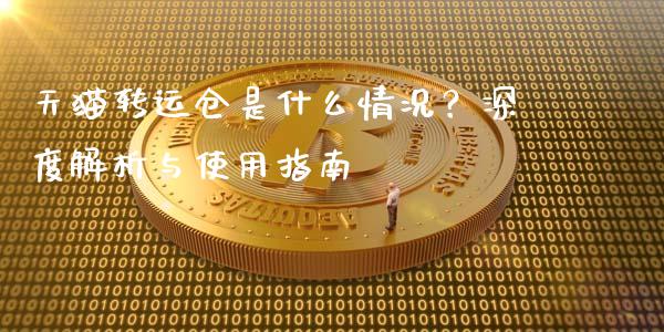 天猫转运仓是什么情况？深度解析与使用指南_https://www.apanben.com_国际财经_第1张