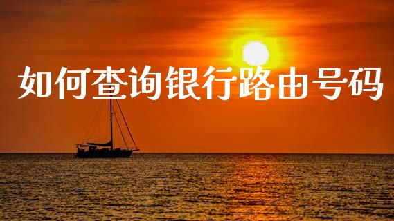 如何查询银行路由号码_https://www.apanben.com_国际期货_第1张