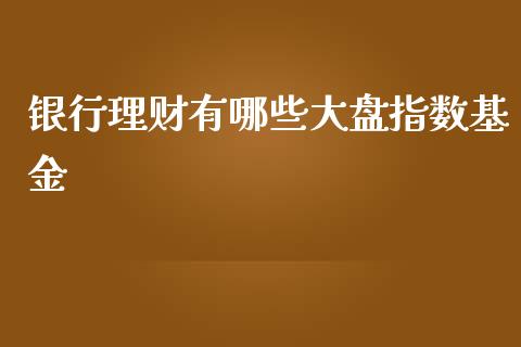 银行理财有哪些大盘指数基金_https://www.apanben.com_国际财经_第1张