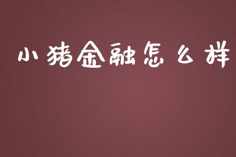 小猪金融怎么样_https://www.apanben.com_股市分析_第1张