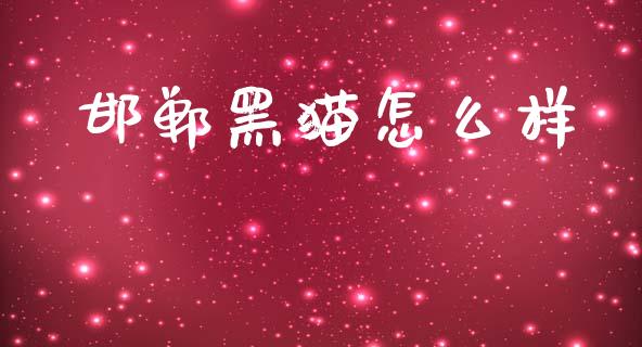邯郸黑猫怎么样_https://www.apanben.com_股市分析_第1张
