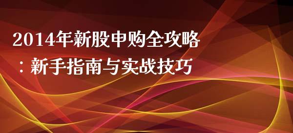 2014年新股申购全攻略：新手指南与实战技巧_https://www.apanben.com_国际财经_第1张