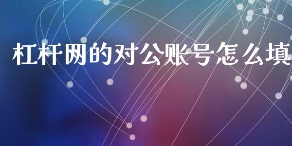 杠杆网的对公账号怎么填_https://www.apanben.com_财经资讯_第1张