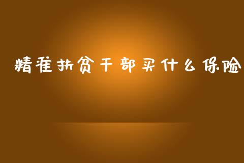 精准扶贫干部买什么保险_https://www.apanben.com_股市指导_第1张