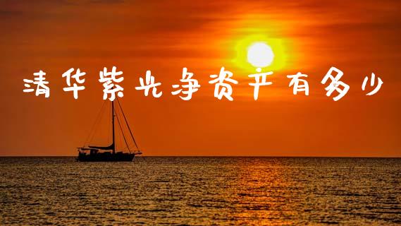 清华紫光净资产有多少_https://www.apanben.com_国际期货_第1张