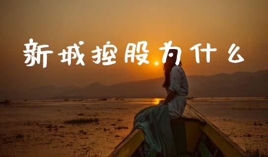 新城控股为什么_https://www.apanben.com_股票怎么玩_第1张