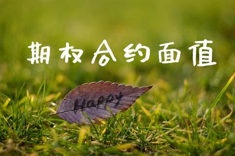 期权合约面值_https://www.apanben.com_财经资讯_第1张