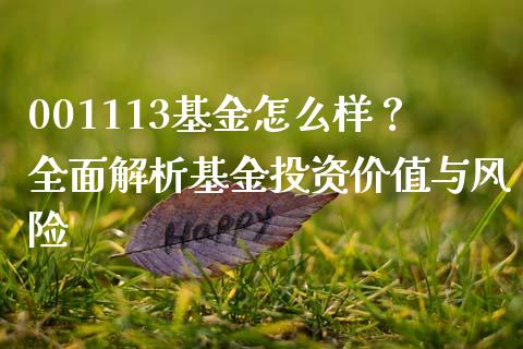 001113基金怎么样？全面解析基金投资价值与风险_https://www.apanben.com_国际财经_第1张