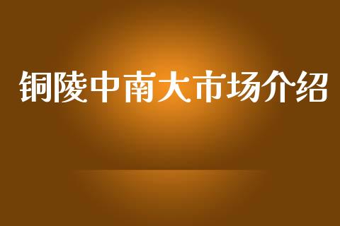 铜陵中南大市场介绍_https://www.apanben.com_股市分析_第1张