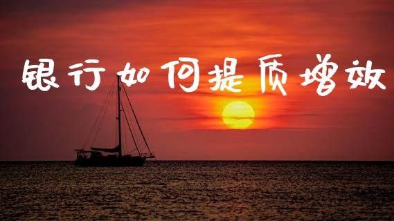 银行如何提质增效_https://www.apanben.com_财经资讯_第1张