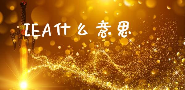IEA什么意思_https://www.apanben.com_股市指导_第1张