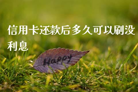 信用卡还款后多久可以刷没利息_https://www.apanben.com_股市指导_第1张