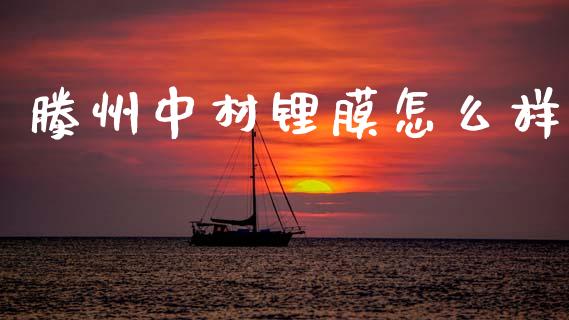 滕州中材锂膜怎么样_https://www.apanben.com_期货学院_第1张