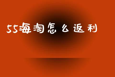 55海淘怎么返利_https://www.apanben.com_国际财经_第1张