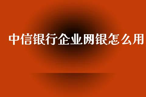 中信银行企业网银怎么用_https://www.apanben.com_国际财经_第1张