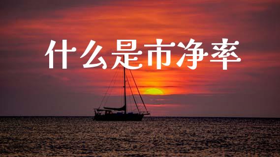 什么是市净率_https://www.apanben.com_股市分析_第1张