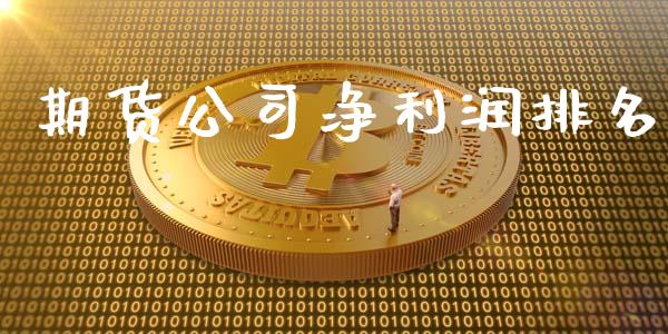 期货公司净利润排名_https://www.apanben.com_股票怎么玩_第1张
