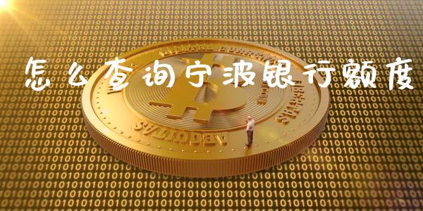 怎么查询宁波银行额度_https://www.apanben.com_期货学院_第1张