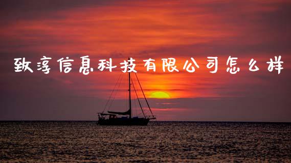 致淳信息科技有限公司怎么样_https://www.apanben.com_国际财经_第1张