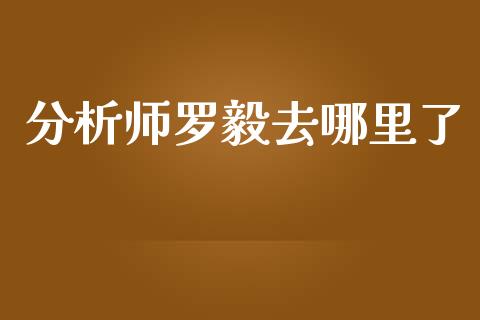 分析师罗毅去哪里了_https://www.apanben.com_股票怎么玩_第1张
