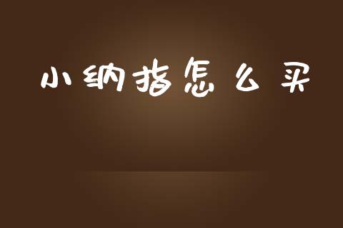 小纳指怎么买_https://www.apanben.com_期货学院_第1张