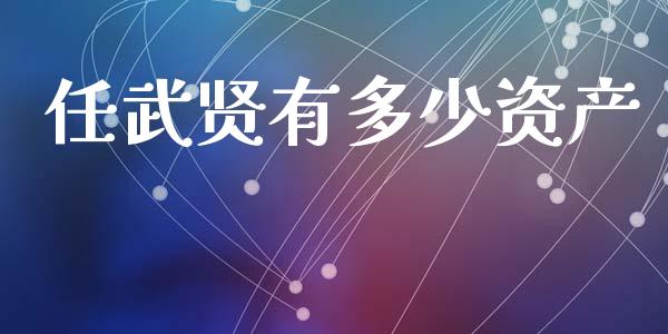 任武贤有多少资产_https://www.apanben.com_国际财经_第1张