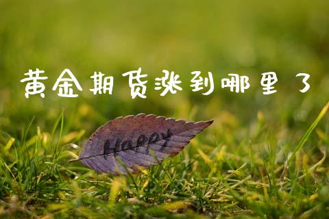 黄金期货涨到哪里了_https://www.apanben.com_期货学院_第1张
