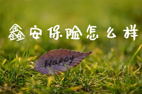 鑫安保险怎么样_https://www.apanben.com_财经资讯_第1张