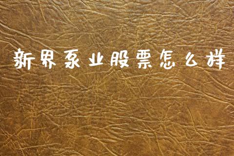 新界泵业股票怎么样_https://www.apanben.com_期货学院_第1张
