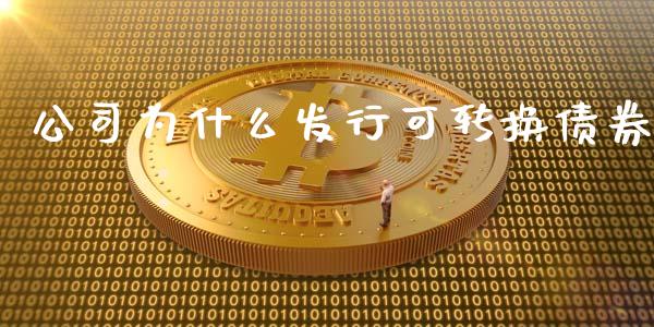 公司为什么发行可转换债券_https://www.apanben.com_股市分析_第1张