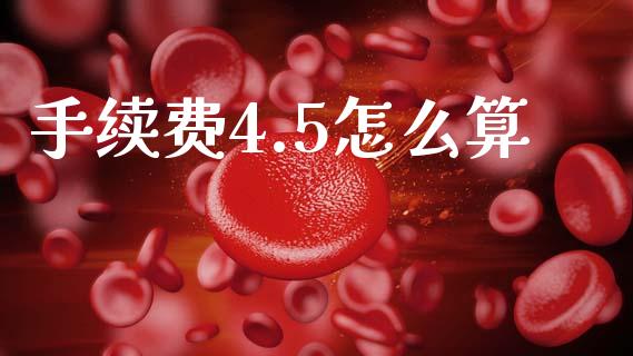 手续费4.5怎么算_https://www.apanben.com_股票怎么玩_第1张