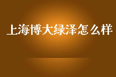 上海博大绿泽怎么样_https://www.apanben.com_股市指导_第1张