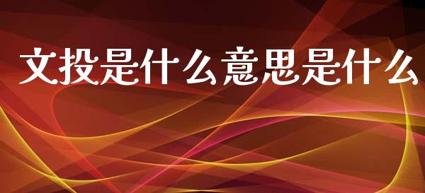 文投是什么意思是什么_https://www.apanben.com_财经资讯_第1张