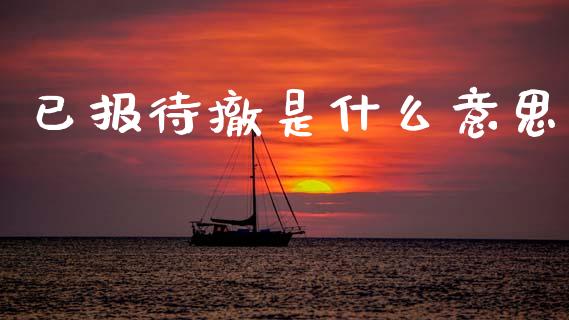 已报待撤是什么意思_https://www.apanben.com_国际期货_第1张