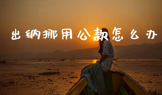 出纳挪用公款怎么办_https://www.apanben.com_国际财经_第1张