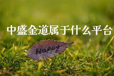 中盛金道属于什么平台_https://www.apanben.com_在线喊单_第1张