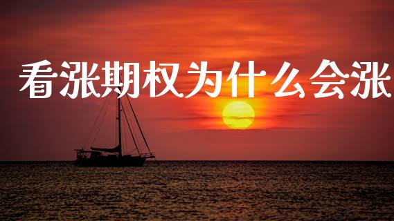 看涨期权为什么会涨_https://www.apanben.com_股市指导_第1张