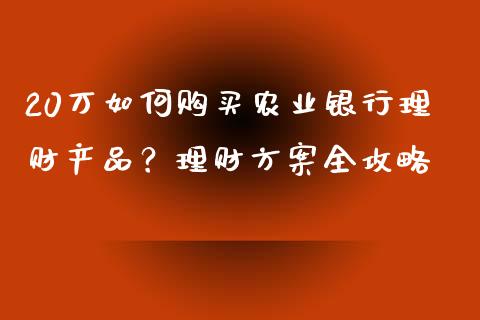 20万如何购买农业银行理财产品？理财方案全攻略_https://www.apanben.com_财经资讯_第1张