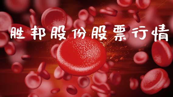 胜邦股份股票行情_https://www.apanben.com_股票怎么玩_第1张