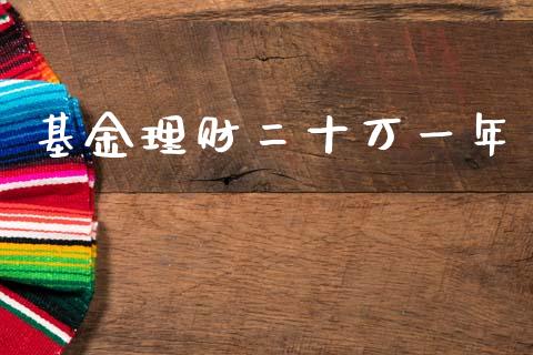 基金理财二十万一年_https://www.apanben.com_财经资讯_第1张