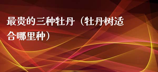 最贵的三种牡丹（牡丹树适合哪里种）_https://www.apanben.com_期货学院_第1张