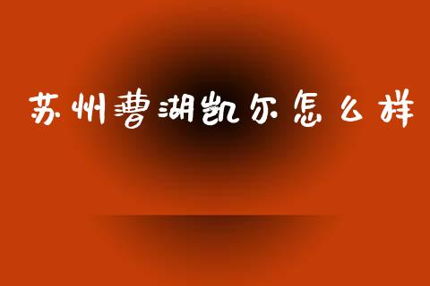 苏州漕湖凯尔怎么样_https://www.apanben.com_期货学院_第1张