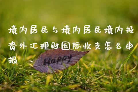 境内居民与境内居民境内投资外汇理财国际收支怎么申报_https://www.apanben.com_国际期货_第1张