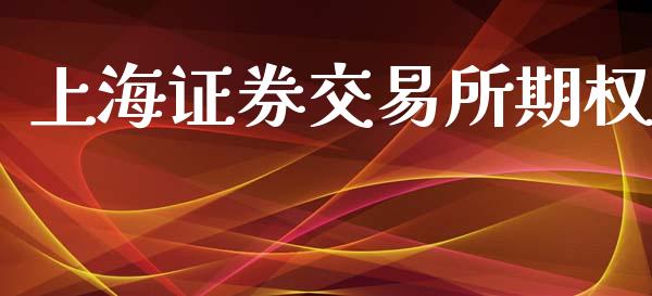上海证券交易所期权_https://www.apanben.com_国际财经_第1张