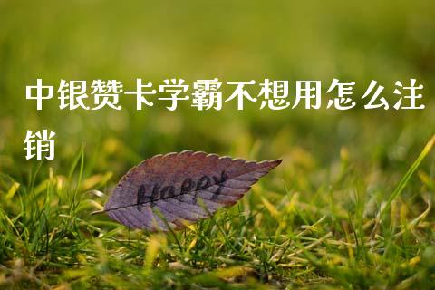 中银赞卡学霸不想用怎么注销_https://www.apanben.com_国际财经_第1张