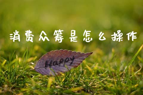 消费众筹是怎么操作_https://www.apanben.com_在线喊单_第1张