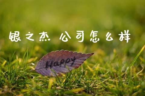 银之杰 公司怎么样_https://www.apanben.com_股市指导_第1张